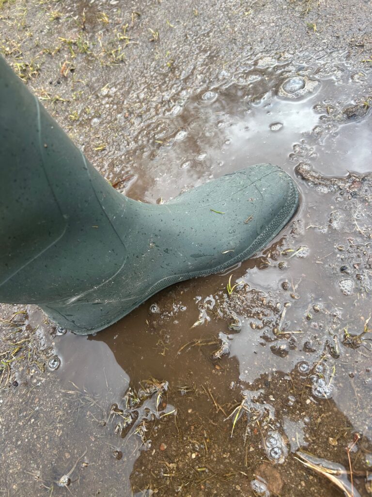 IMG_3280.jpg IMG_3280.jpg