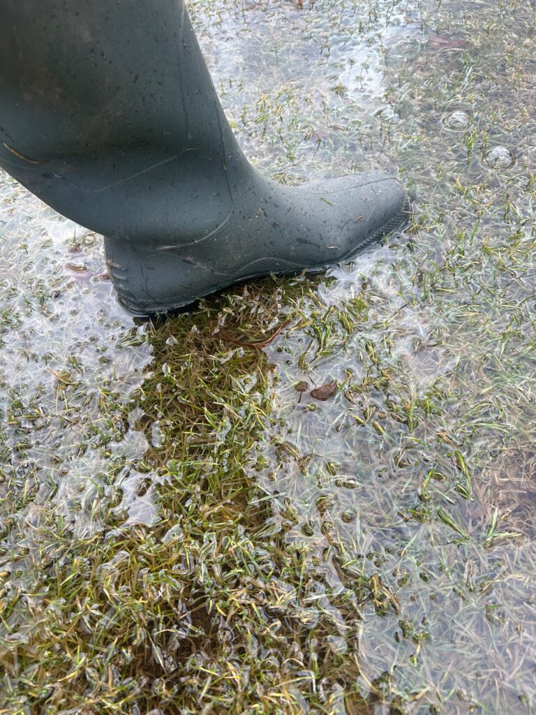 IMG_3282.jpg IMG_3282.jpg